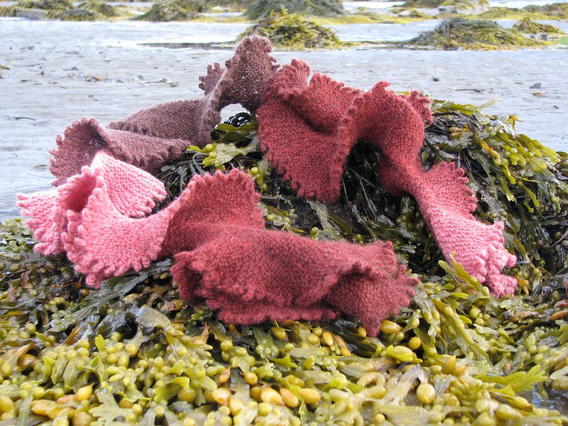 Sea Lettuce Scarf by Lucy Neatby - Digital Pattern