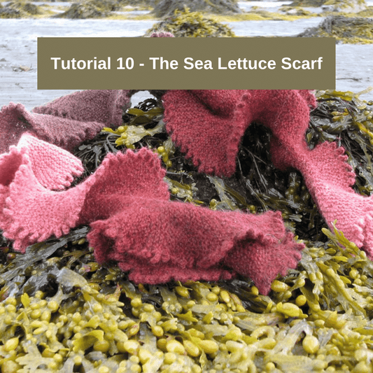 Tutoriel 10 - L'écharpe en laitue de mer
