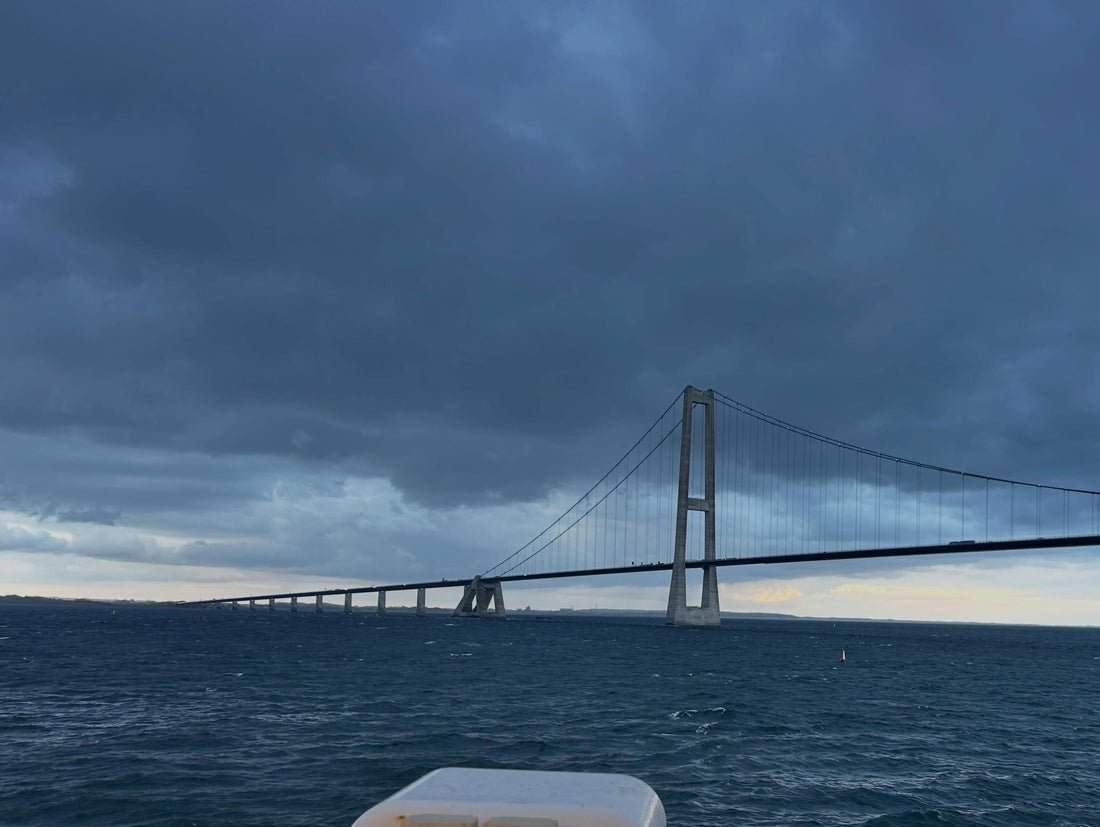 Quite the bridge