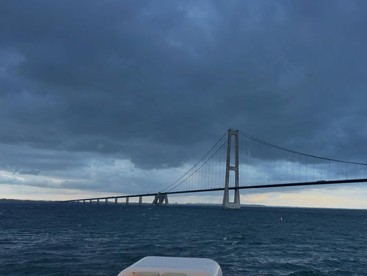 Quite the bridge