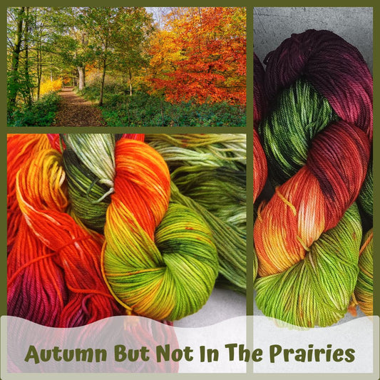 Autumn But Not In The Prairies - Nightingale Sport - 100% Merino