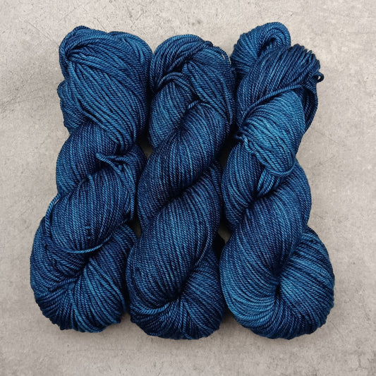 Baltic Sea - Stellar's Jay MCN DK