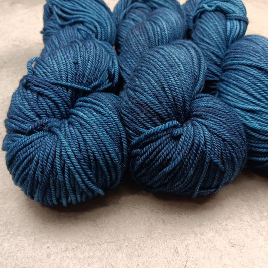 Baltic Sea - Stellar's Jay MCN DK