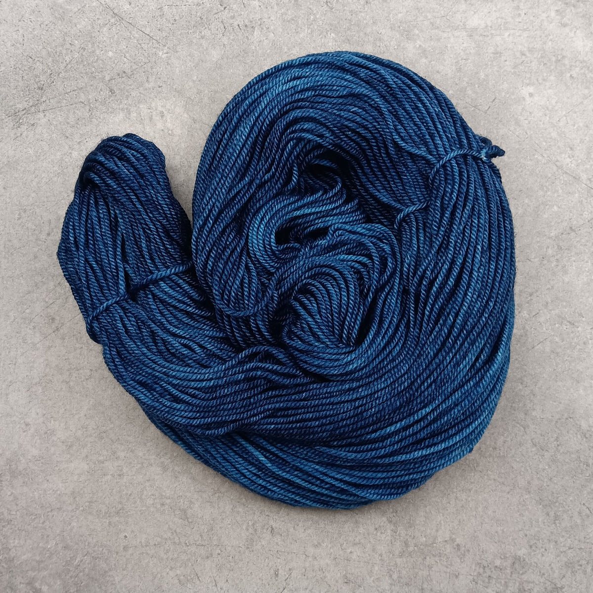 Baltic Sea - Stellar's Jay MCN DK