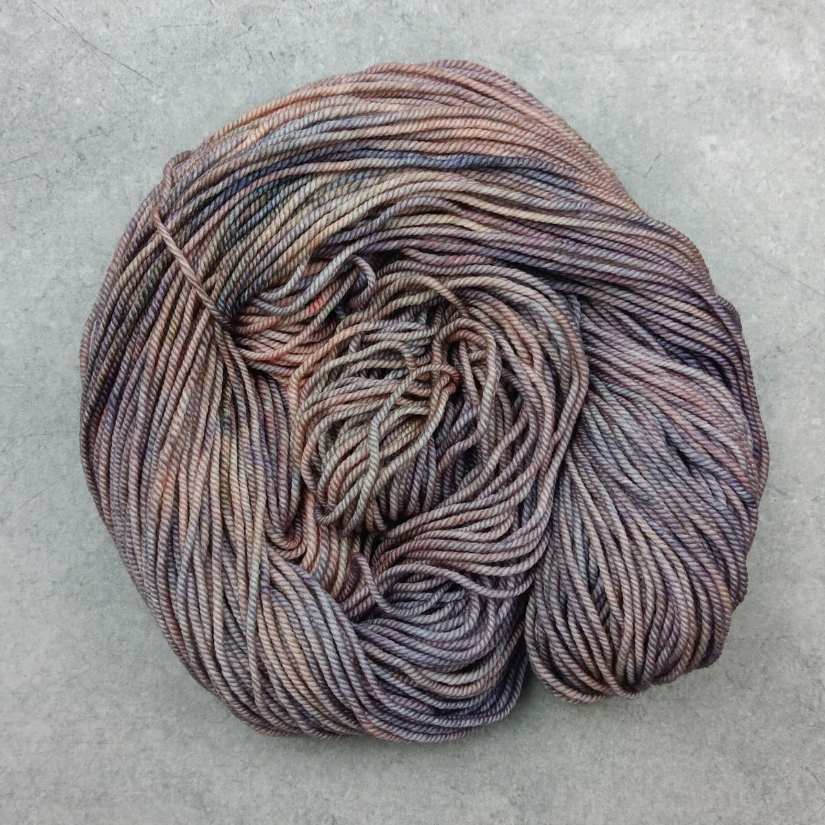 Grandma's Hair - Stellar's Jay MCN DK
