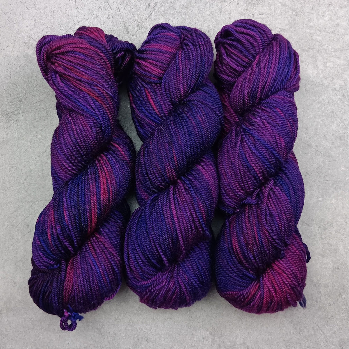 Lilla - Stellar's Jay MCN DK