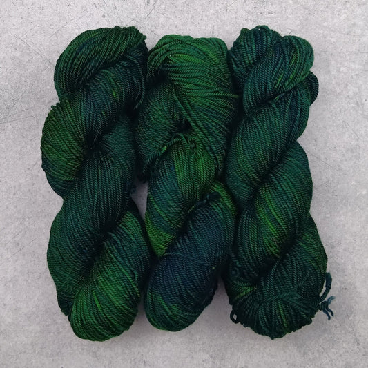 On My Way To Grandma's House - Stellar's Jay MCN DK