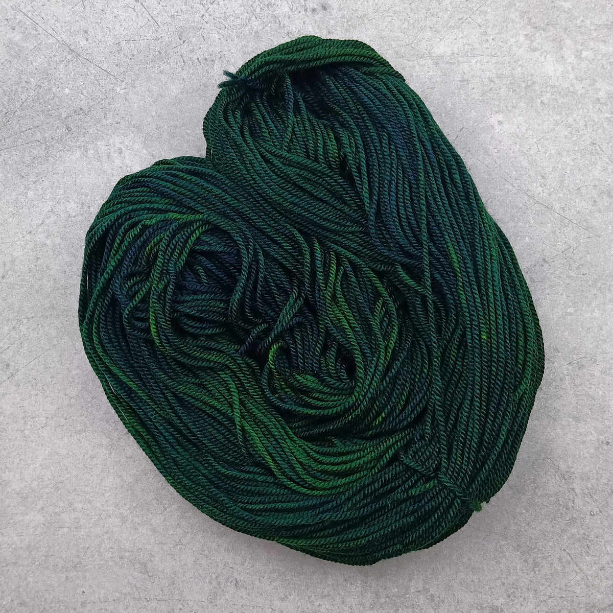 On My Way To Grandma's House - Stellar's Jay MCN DK