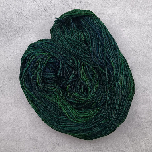On My Way To Grandma's House - Stellar's Jay MCN DK