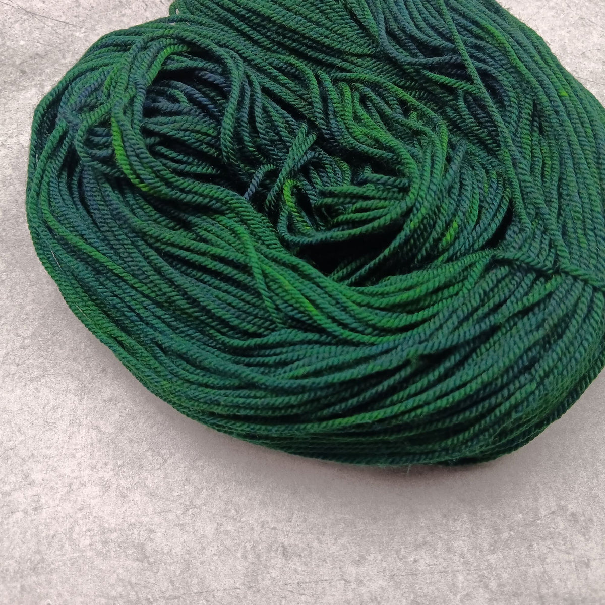 On My Way To Grandma's House - Stellar's Jay MCN DK
