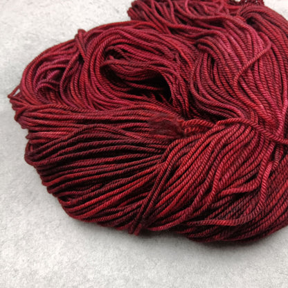 Red Hoodie - Stellar's Jay MCN DK