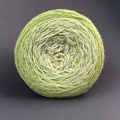 Dégradé arc-en-ciel - 720 mètres - Stellar's Jay MCN Fingering - Prêt à être expédié