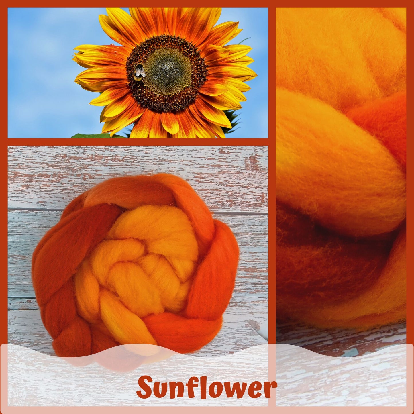 Sunflower - BFL roving - Non-Superwash