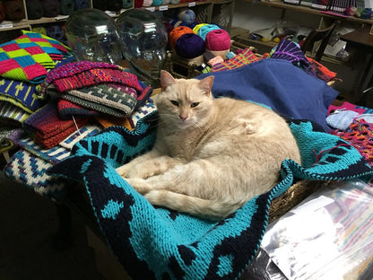 Fishbone DK Blanket by Lucy Neatby - Digital Pattern