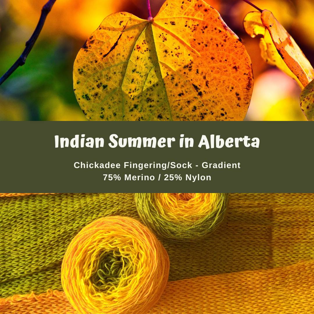 Gradient - Indian Summer in Alberta - Chickadee Fingering/Sock - Ready to ship