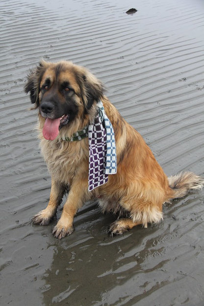 Écharpes à carreaux DK de Lucy Neatby - Modèle numérique