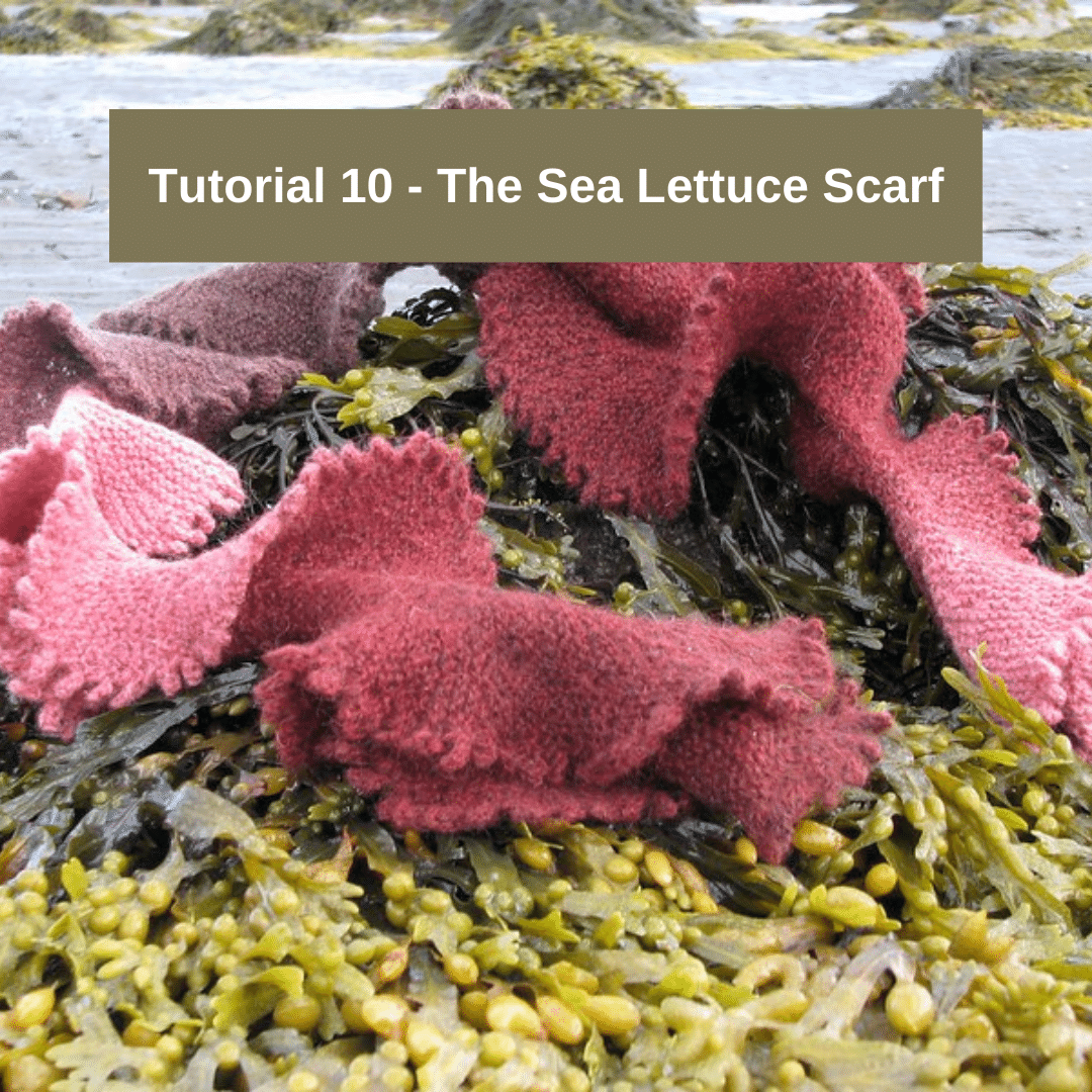 Tutorial 10 - The Sea Lettuce Scarf