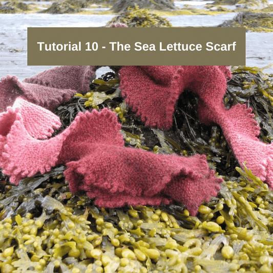 Tutorial 10 - The Sea Lettuce Scarf